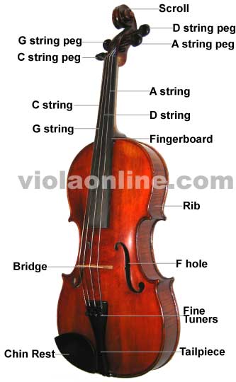 violin parts